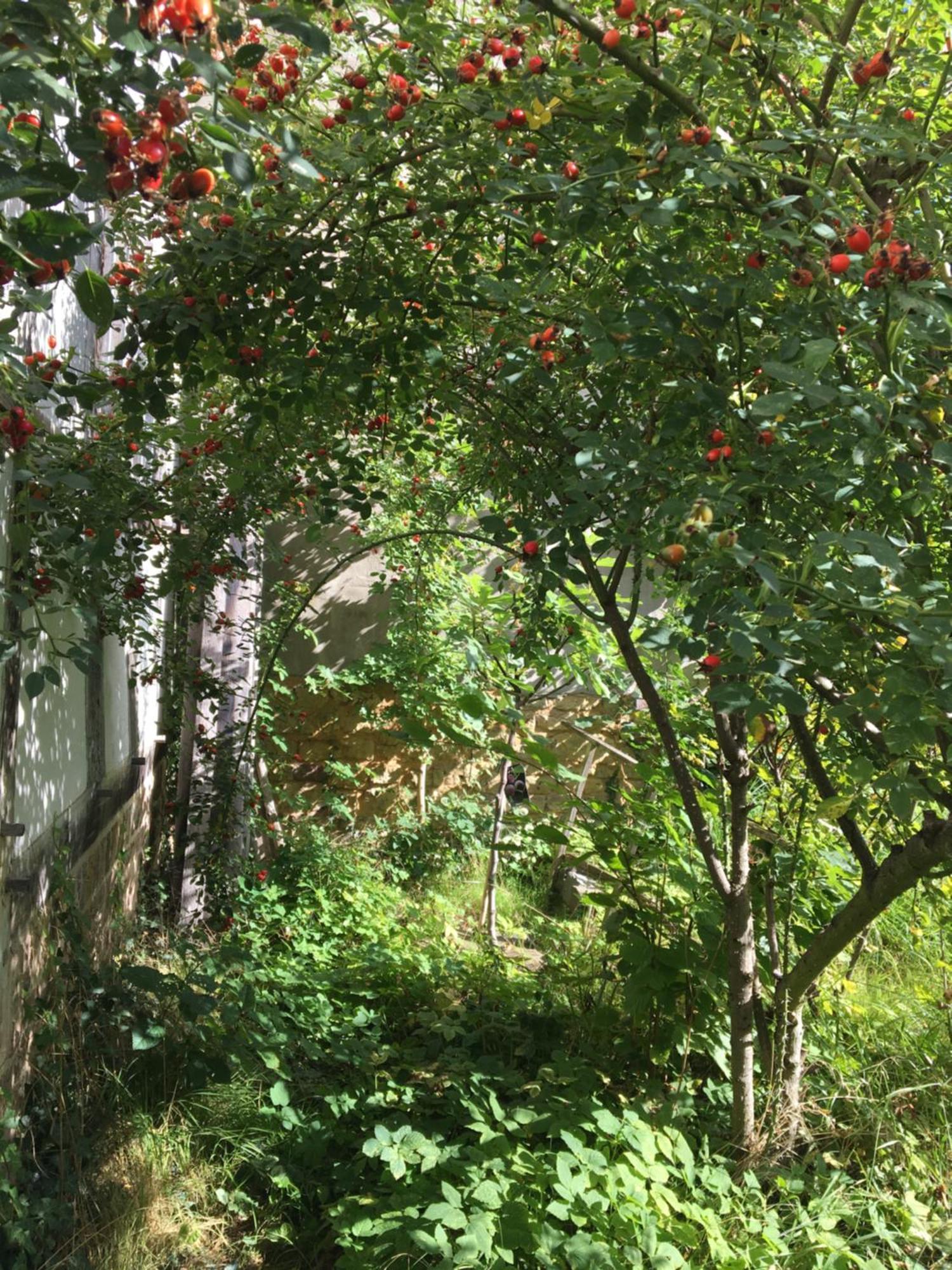 Cherrytree Cottage 1840 Heimbach Esterno foto