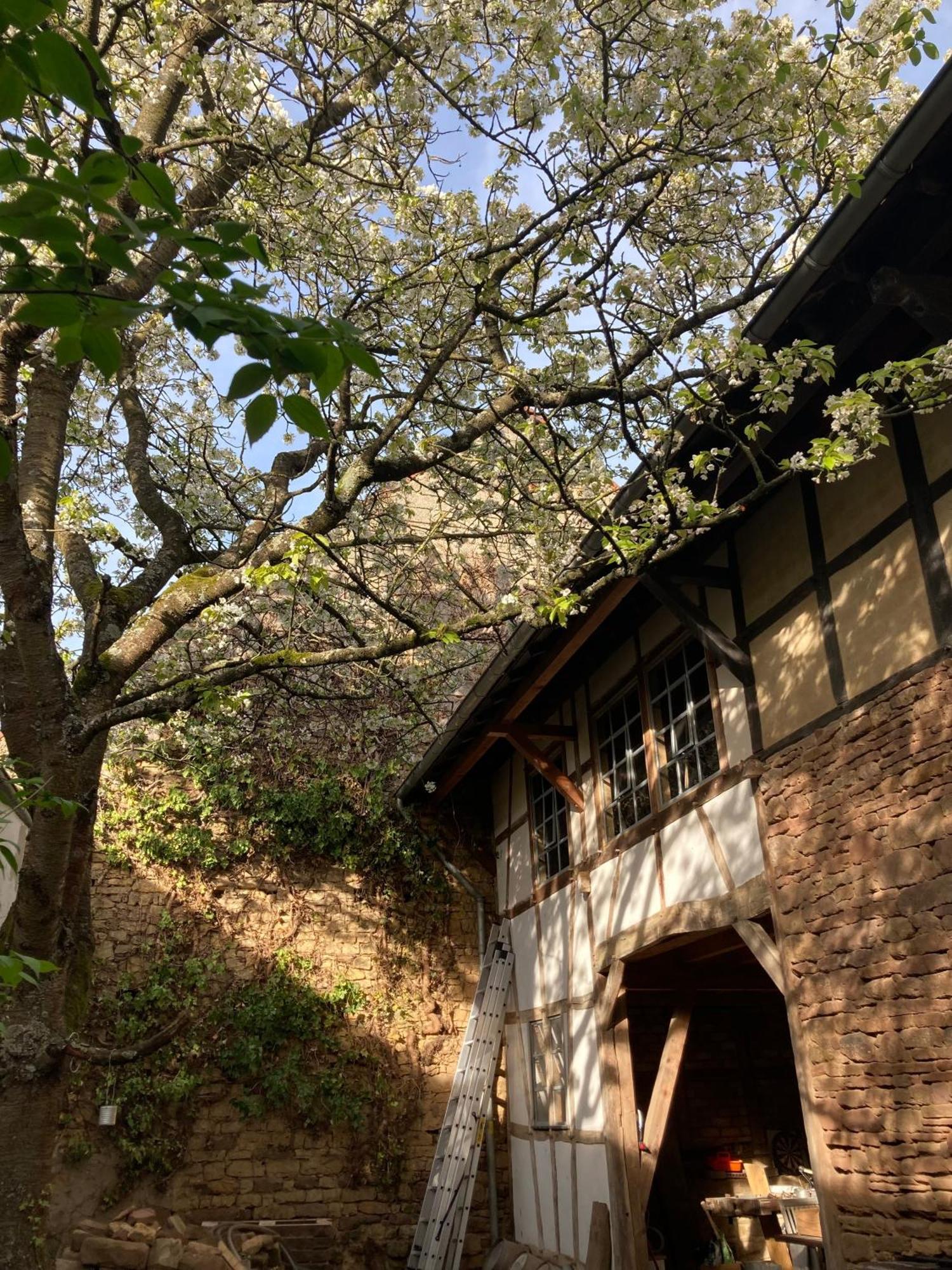 Cherrytree Cottage 1840 Heimbach Esterno foto