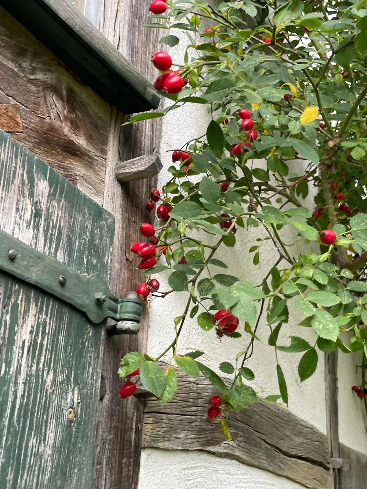 Cherrytree Cottage 1840 Heimbach Esterno foto